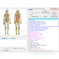 vettore scanner di salute di bioresonance di 8d nls lris